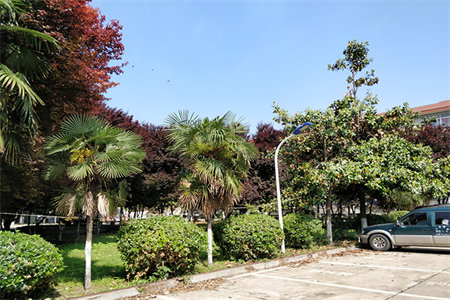 公积金贷款买房后还可以提取公积金余额吗